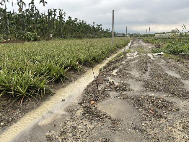 屏東麟洛農地-9