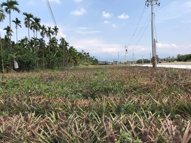 屏東麟洛農地-3
