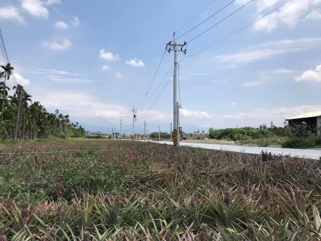 屏東麟洛農地-4