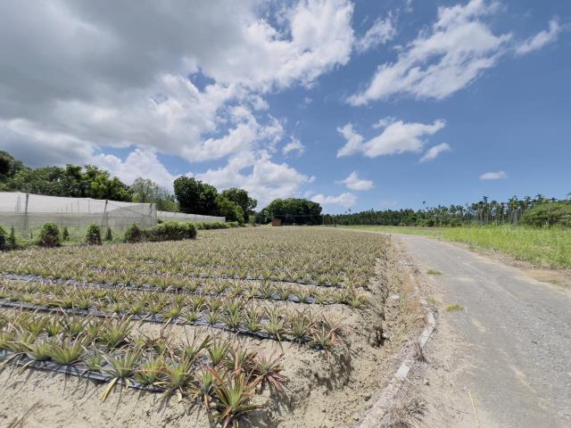 屏東萬巒農地-2