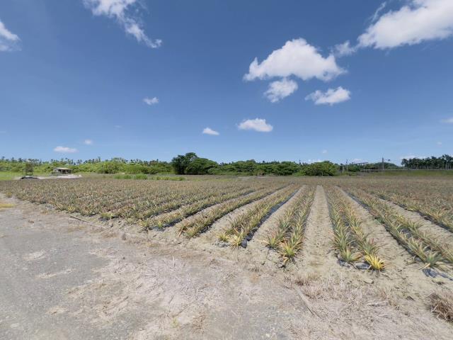 屏東萬巒農地-3