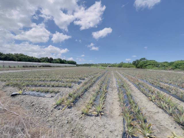 屏東萬巒農地-4