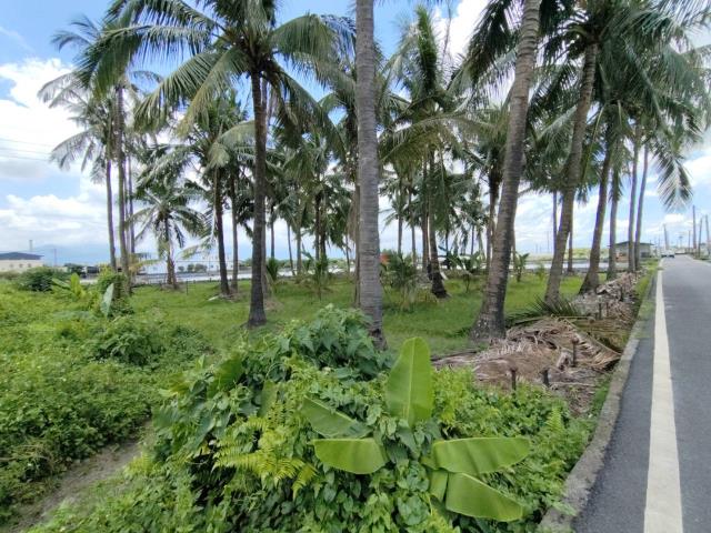 屏東九如農地-3