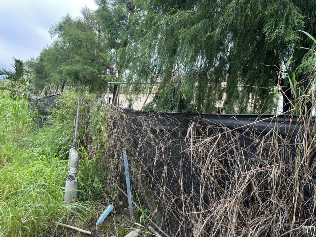 屏東農地-2